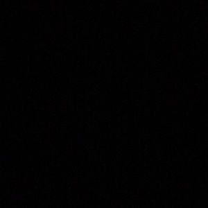 Meet your Posher, Evelyn